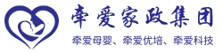 Bosa Business Services